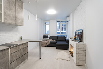 Modern studio flat with small kitchen, sofa.