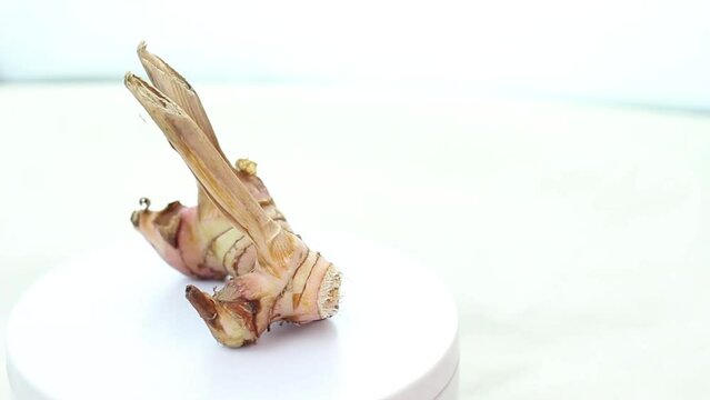 Galangal on a rotating white display stand