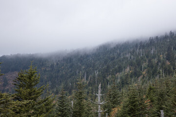 Smoky Mountains with low clouds
