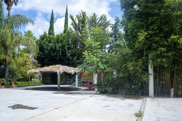 Palapa y Bamb&uacute;