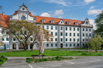 Flowering tree at a government building Augsburg