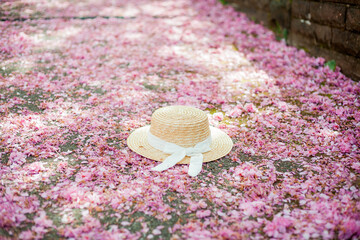 Beautiful straw hat with white ribbon lies in the park on blooming pink sakura. Spring.