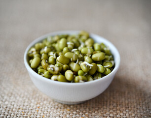 Sprouted beans in a container and cup. Dietary sprouted grains.