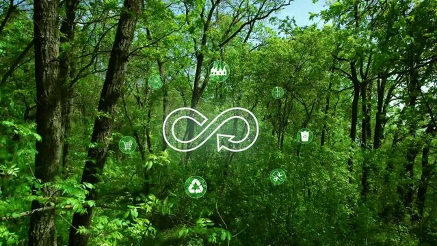 Circular economy concept. Energy consumption and CO2 emissions are increasing. Sharing,reusing,repairing,renovating and recycling existing materials and products as much possible.	
