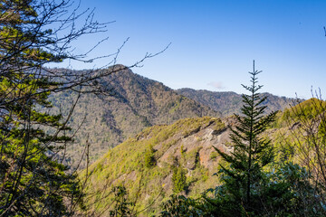 Smoky Mountains View