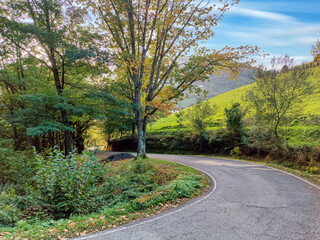 path in the park