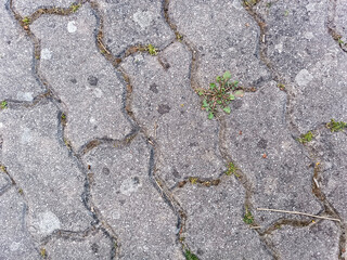 stone wall