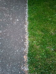 path in the park © mareguera