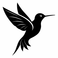 Humming bird flying black silhouette an white background  