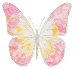 PNG Butterfly marble distort shape animal insect petal