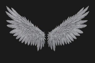 Heavenly Ascent: Majestic White Wings Ready for Flight