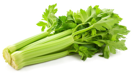 Celery Green Vegetable Food isolated on a transparent background