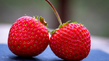 Close up of fresh strawberries showing seeds achenes. Details of fresh ripe red strawberries.