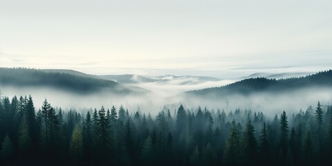 Fototapeta premium Air aerial nodric forest evening fog misty weather scene view. Adventure explore trip travel vibe inspiration