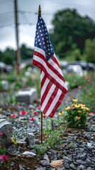 US Flag at Military Cemetery