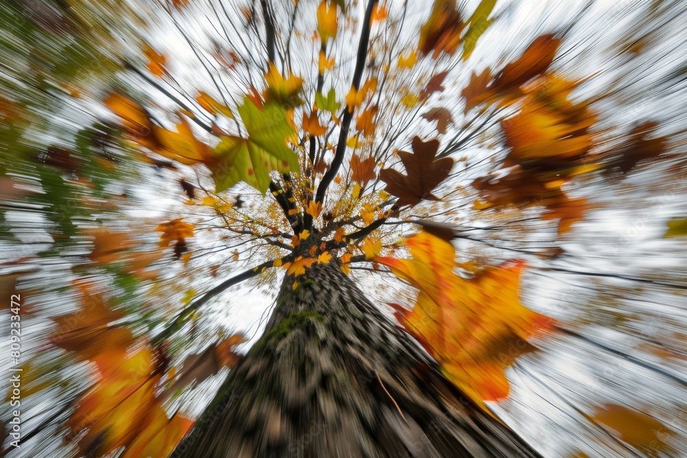 Poster a tall tree dressed in numerous lush leaves, creating a striking sight in nature, a dynamic composit