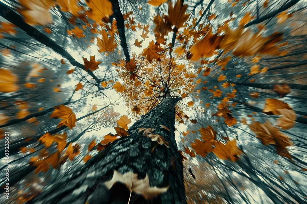 Aufkleber a perspective looking up at a tree with vibrant green leaves fluttering in the wind, a dynamic compo