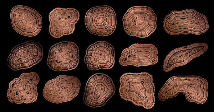 Set of wooden annual rings textures. Luxury golden tree ring patterns. Collection of tree trunk stamps in cross section isolated on black background. Natural wooden concentric circles