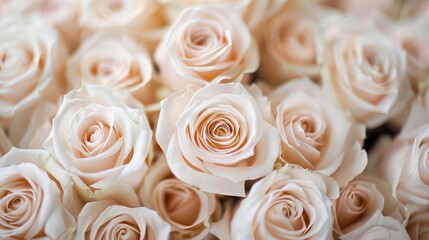 Creamy white roses with subtle pink hues, tightly arranged to form an intricate pattern that captures the eye