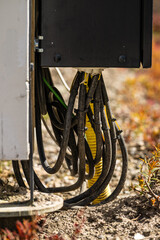 Bunch of electrical cables entering a junction box.