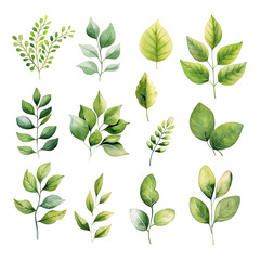A set of green leaves with some of them being more detailed than others