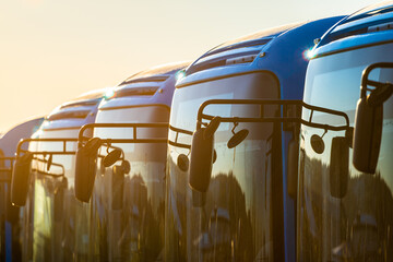 Blue electric buses parked side by side in low evening sun.