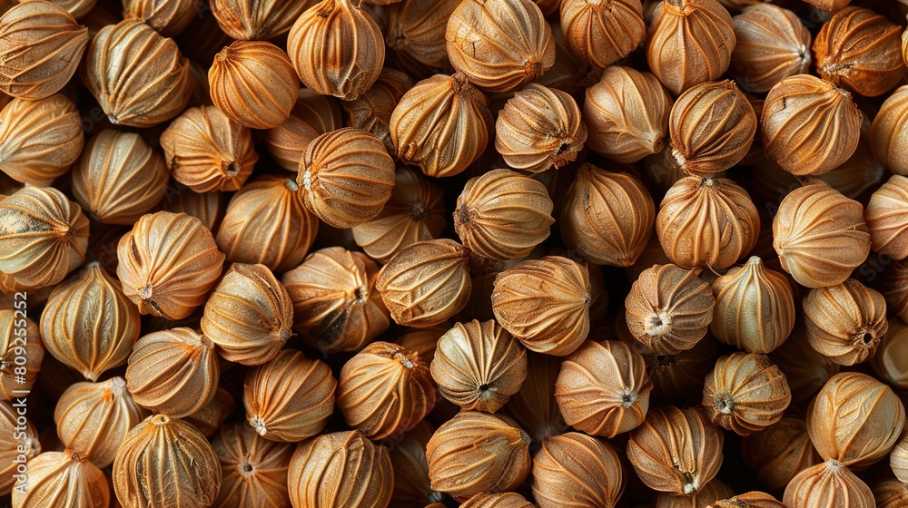 Poster a group of nuts arranged on top of one another