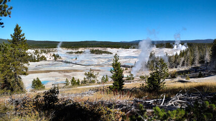 View of the Norris Geyser Basin at Yellowstone National Park.