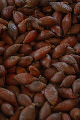 Ripe Salak (Salacca zalacca) Healthy and Sour Fruit in the Spike Cover Stock