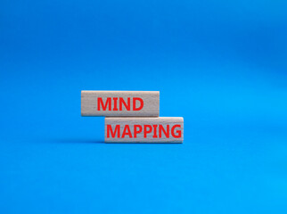 Mind Mapping symbol. Concept word Mind Mapping on wooden blocks. Beautiful blue background....