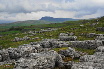 A limestone pavement with Penyghent in the distance, Yorkshire Dales, England, UK