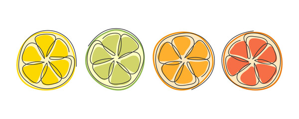 Circle citrus slices. Lime lemon orange grapefruit half isolated on white. Fresh juicy tropical fruit. Ingredient for lemonade, cocktail, antioxidant drink, dessert. Element for summer design