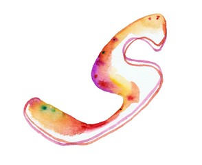 A large, vibrant rainbow watercolor letter "C" against a white background, radiating with a spectrum of colors, evoking creativity and charm