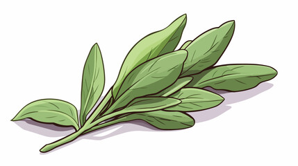 Sage plant single leaf hand drawn sketch style vect
