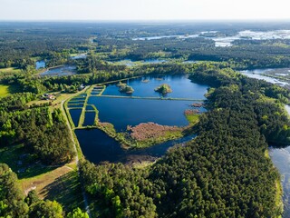 beautiful artificial lake in green forest, serene fishing pond and swamp, fishery and hunting industry, aerial top view, Osowek Poland