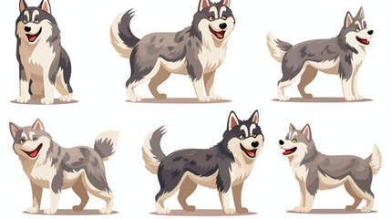 Set of cartoon siberian husky dogs domestic animals
