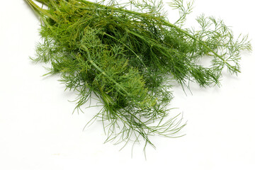 白背景のデイル