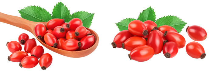 Rose hip in wooden spoon isolated on a white background with full depth of field