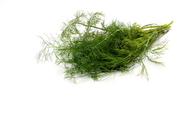 白背景のデイル