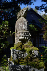 秋の赤山禅院　狛犬　京都市左京区