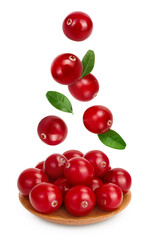 Cranberry in wooden bowl isolated on white background with full depth of field