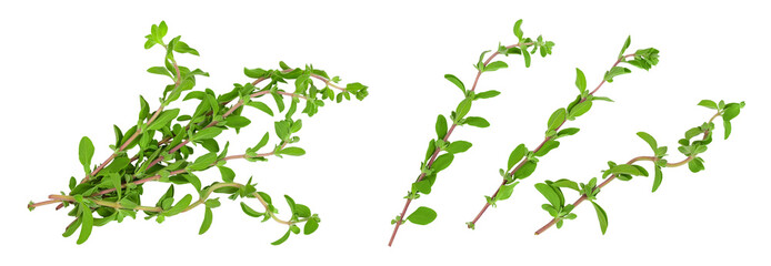 Oregano or marjoram leaves isolated on white background with  full depth of field. Top view. Flat lay