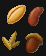 Four Grain Props Illustration Set