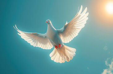 White dove. A Dove in the air with wings wide open in-front of the sun