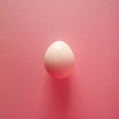 Pink egg on pink background - top view