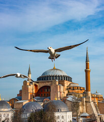Hagia Sophia / Ayasofya. Hagia Sophia is the famous historical building of the Istanbul. Turkey.