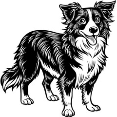 Fototapeta premium Графика и иллюстрации