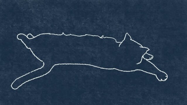 cute cat rolling and stretching, hand drawn frame-by-frame rotoscope animation on dark blue background
