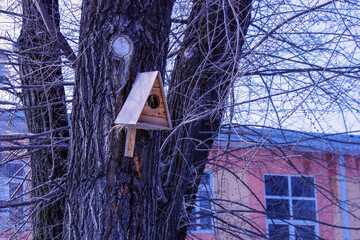 A wooden birdhouse in the trees in the school yard. Winter.