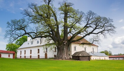 big old tree